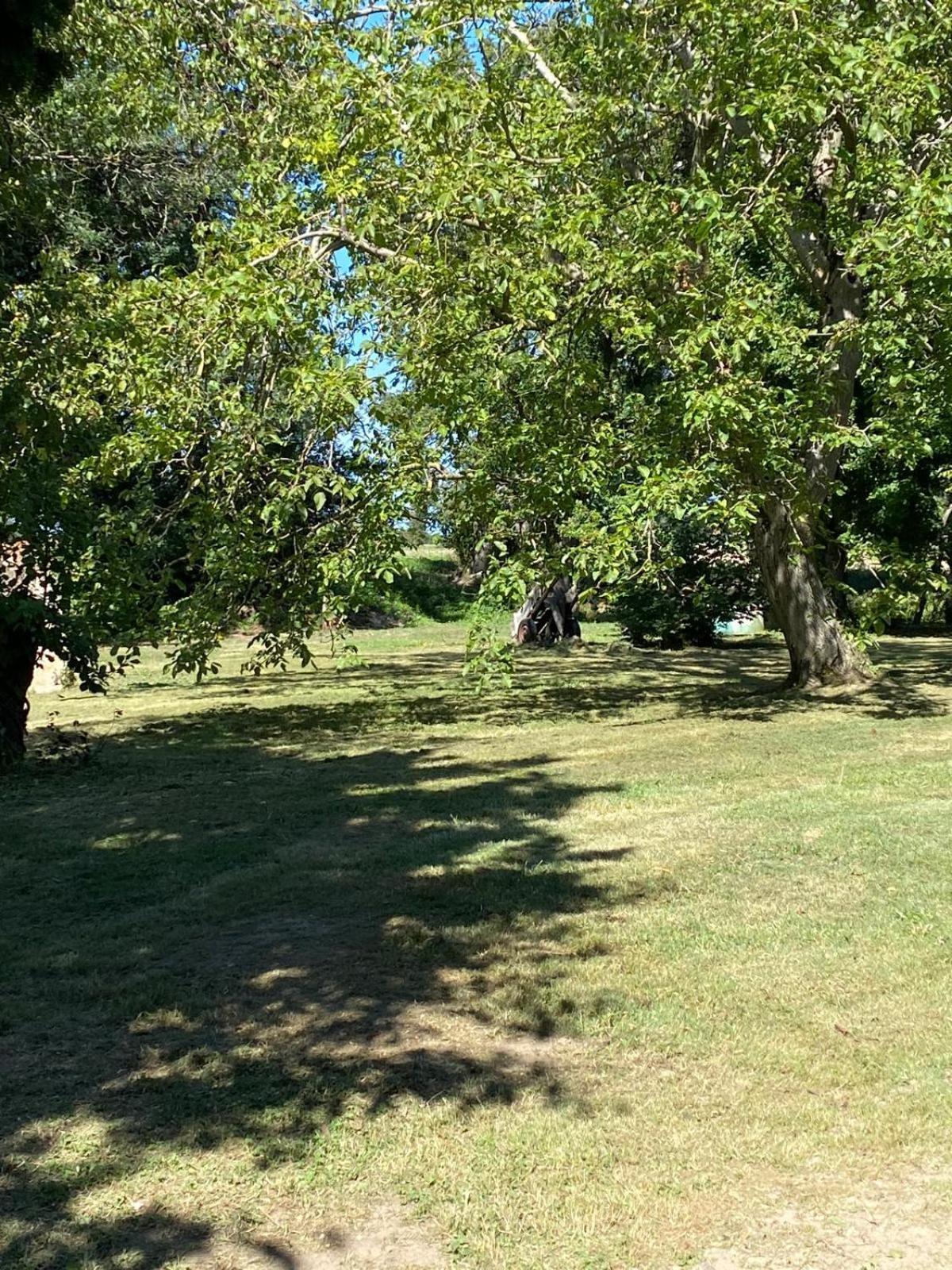 Les Anges Bleus Villa Chavannes-Sur-Reyssouze Exteriör bild